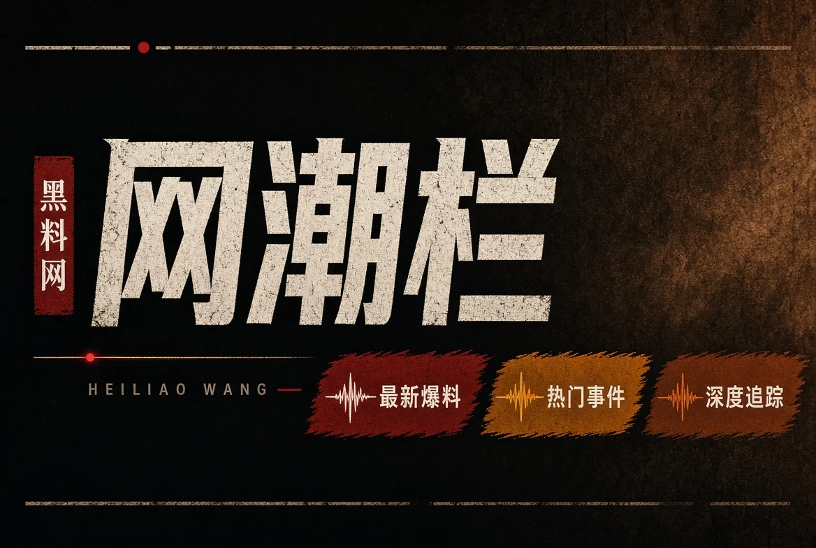 网浪栏资讯